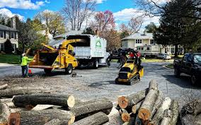 Best Arborist Consultation Services  in Bellwood, VA